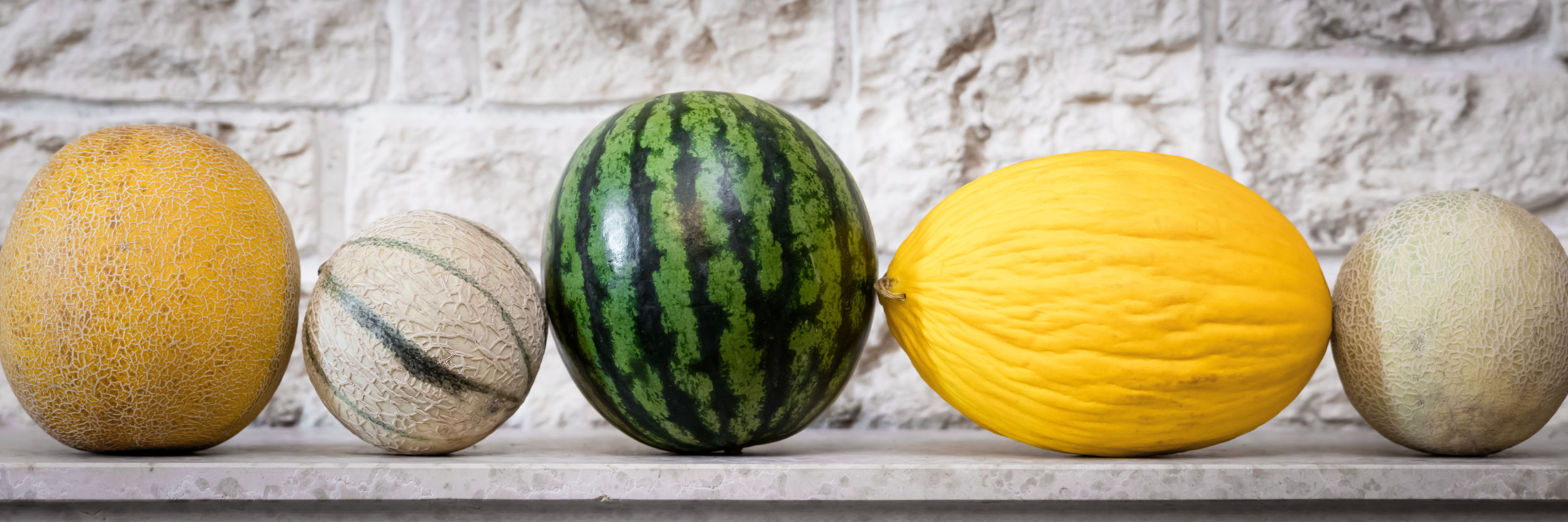 Melons 2